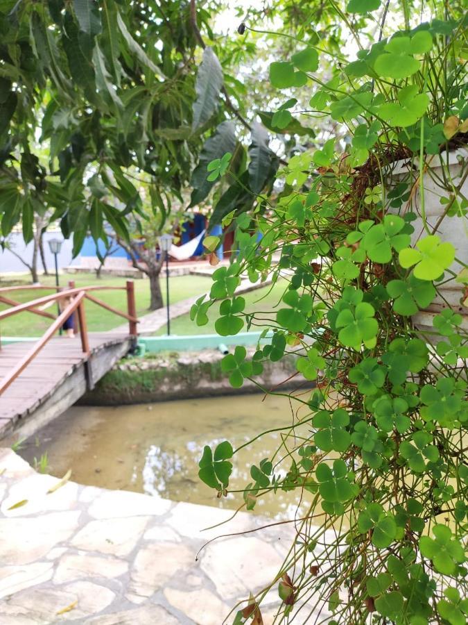 Chalet Cores Do Cerrado - E